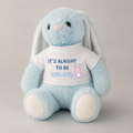 A light blue plush bunny toy with long floppy ears, a pink nose, and a white T-shirt printed with the text 'IT'S ALRIGHT TO BE little bitty' and a small pink bunny graphic, photographed against a neutral light gray background.