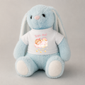 A light blue plush bunny toy wearing a white T-shirt with a pink 'Team Girl' graphic and a baby cloud illustration, photographed against a neutral light gray background.